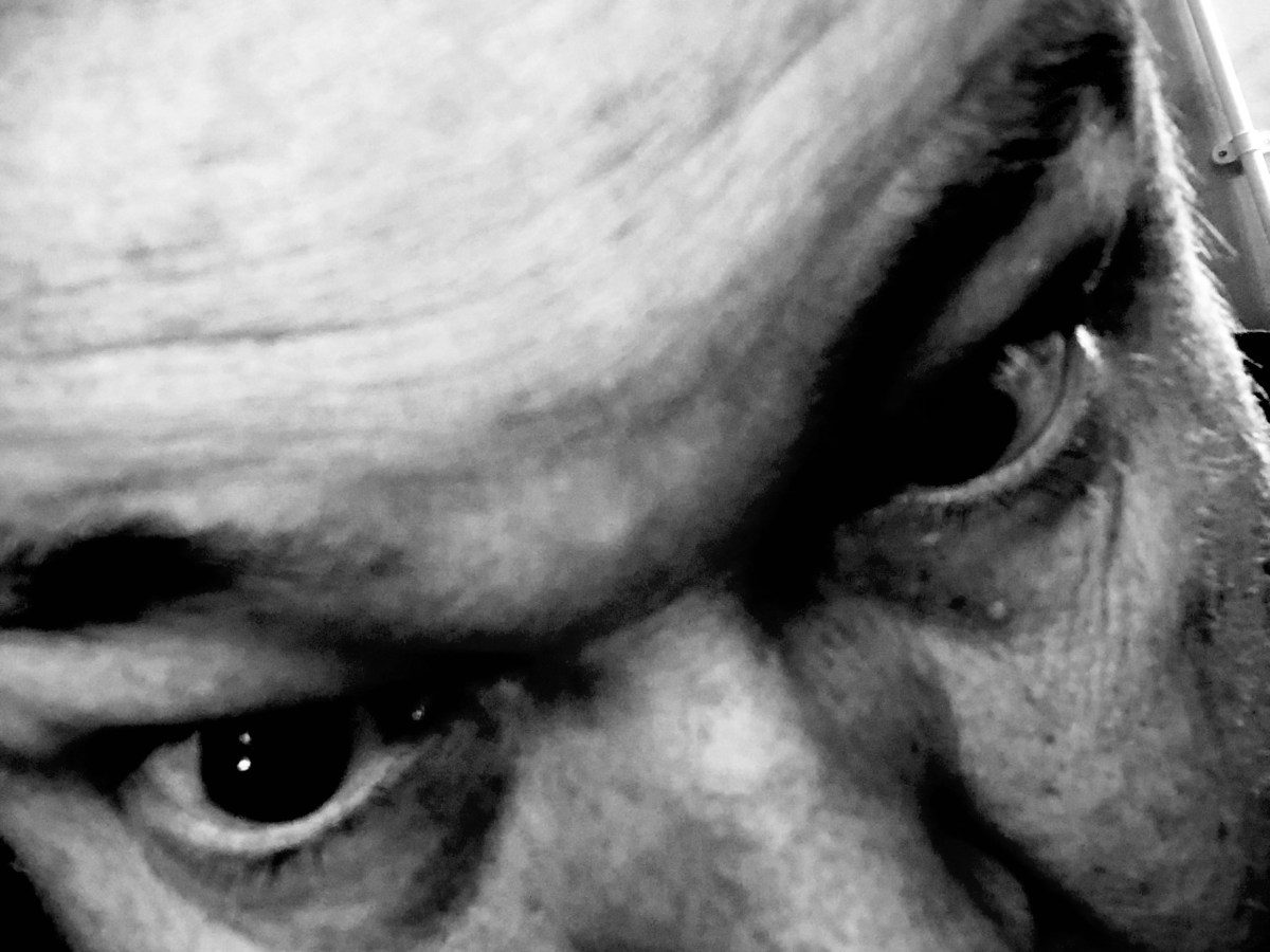 Straight From the Trunk (Update&nbsp;#3)